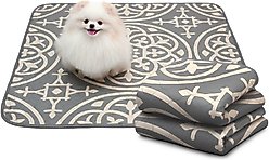 Paw Inspired Designer Patterned Print Washable Dog Pee Pads, Medallion, 36 x 36-in, 2 count