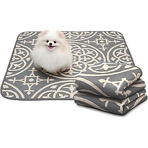 Paw Inspired Designer Patterned Print Washable Dog Pee Pads, Medallion, 36 x 36-in, 2 count