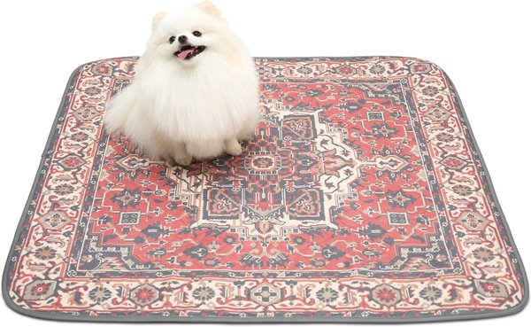 Show full view: Paw Inspired Designer Patterned Print Washable Dog Pee Pads, Persian, 36 x 36-in, 2 count slide 5 of 8