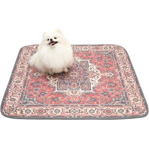 Paw Inspired Designer Patterned Print Washable Dog Pee Pads, Persian, 36 x 36-in, 2 count