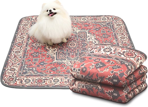 Show full view: Paw Inspired Designer Patterned Print Washable Dog Pee Pads, Persian, 36 x 36-in, 2 count slide 1 of 8