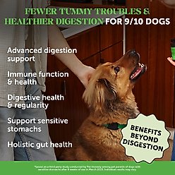 Pet Honesty Super Pooper Max Strength Chicken Flavored Soft Chews Digestive Support for Dogs, 90 count slide 2 of 9