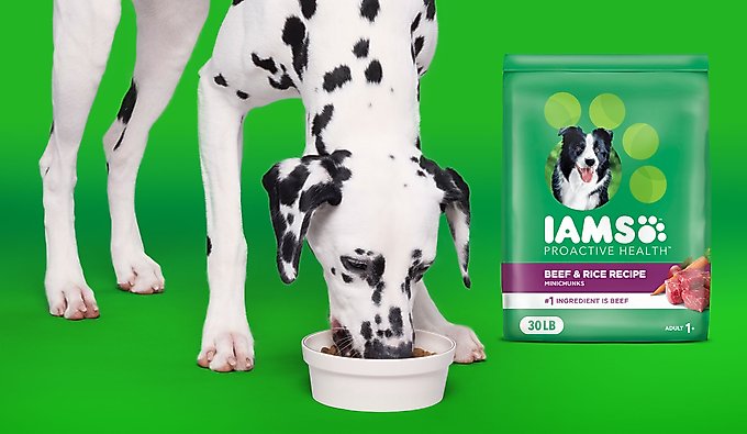 iams dog bones