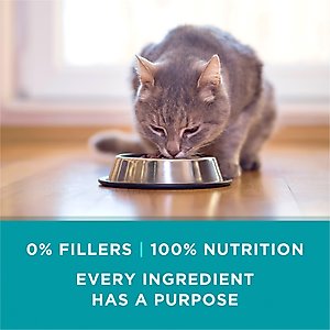 Purina ONE Natural Turkey, Chicken & Tuna Variety Pack High Protein Wet Cat Food, 3-oz can, case of 12