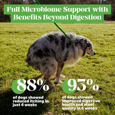 Show full view: Pet Honesty Super Pooper Max Strength Chicken Flavored Soft Chews Digestive Support for Dogs, 90 count slide 7 of 12