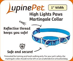 LupinePet Reflective Paws 1-in Martingale Training Dog Collar, Pink Paws, X-Large: 19 to 27-in slide 2 of 7