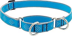 LupinePet Reflective Diamonds 1-in Martingale Training Dog Collar, Blue Diamond, Large: 15 to 22-in