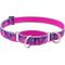 Show in main carousel: LupinePet Reflective Paws 1-in Martingale Training Dog Collar, Pink Paws, Large: 15 to 22-in slide 1 of 7