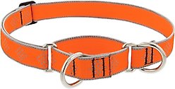 LupinePet Reflective Diamonds 1-in Martingale Training Dog Collar, Orange Diamond, Large: 15 to 22-in