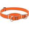 Show in main carousel: LupinePet Reflective Diamonds 1-in Martingale Training Dog Collar, Orange Diamond, Large: 15 to 22-in slide 1 of 8