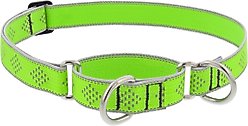 LupinePet Reflective Diamonds 1-in Martingale Training Dog Collar, Green Diamond, Large: 15 to 22-in