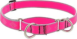 LupinePet Reflective Diamonds 1-in Martingale Training Dog Collar, Pink Diamond, Large: 15 to 22-in