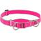 Show in main carousel: LupinePet Reflective Diamonds 1-in Martingale Training Dog Collar, Pink Diamond, Large: 15 to 22-in slide 1 of 7