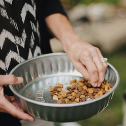Behrens Galvanized Steel Utility Pan Pet Dish, 2-qt slide 2 of 5