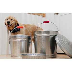 Behrens Embossed Galvanized Steel Locking Lid Trash Can with Lid, 10-gal