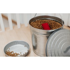 Behrens Embossed Galvanized Steel Locking Lid Trash Can with Lid, 6-gal