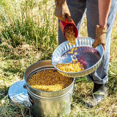Show full view: Behrens Embossed Galvanized Steel Locking Lid Trash Can with Lid, 10-gal slide 3 of 4