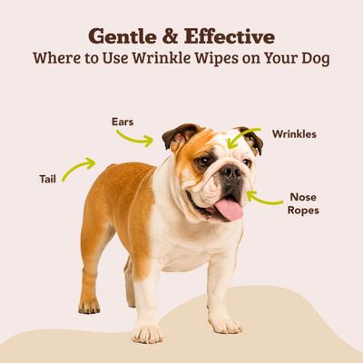 Show full view: Natural Dog Company Wrinkle Balm Dog Grooming Wipes, 100 count slide 5 of 10