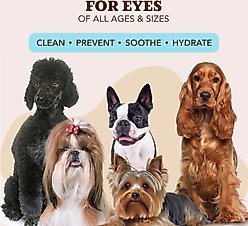 Natural Dog Company Eye Dog Grooming Wipes, 100 count slide 2 of 9