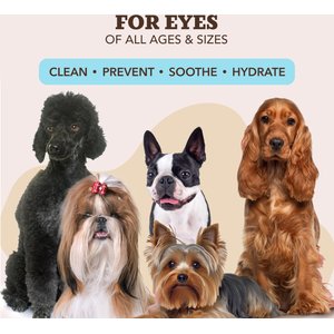 Natural Dog Company Eye Dog Grooming Wipes, 100 count