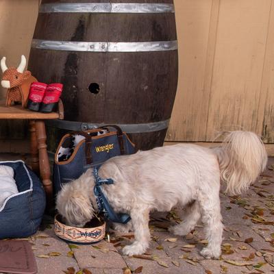 Show full view: Wrangler Stoneware Dog Bowl, Tan Multi, 38-oz slide 5 of 7