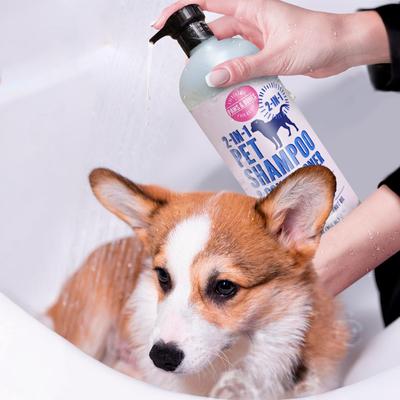 Show full view: PAWS & BONES 2-in-1 Dog & Cat Shampoo & Conditioner, Unscented, 32-fl oz bottle slide 7 of 7
