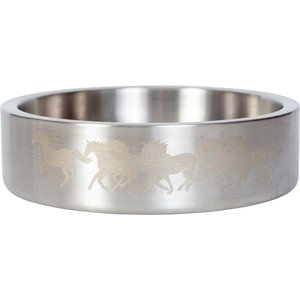 Wrangler Double Walled Stainless Steel Dog Bowl, Silver, 18-oz
