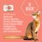 Show in main carousel: Tiki Cat Veterinary Solutions GI-Health Chicken, Egg & Pumpkin Recipe Shredded Grain-Free Wet Cat Food, 2.8-oz can, case of 18 slide 3 of 12