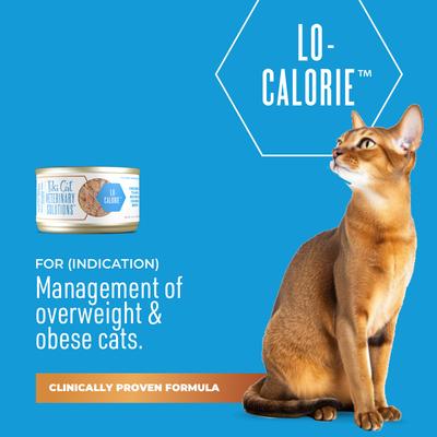 Show full view: Tiki Cat Veterinary Solutions Lo-Calorie Chicken & Tilapia Recipe Shredded Grain-Free Wet Cat Food, 2.8-oz can, case of 18 slide 3 of 11