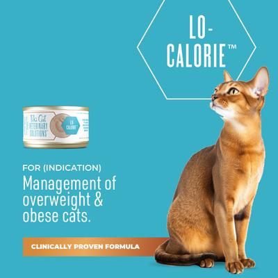 Show full view: Tiki Cat Veterinary Solutions Lo-Calorie Chicken & Tilapia Recipe Pate Grain-Free Wet Cat Food, 2.8-oz can, case of 18 slide 3 of 11