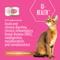 Show in main carousel: Tiki Cat Veterinary Solutions GI-Health Chicken & Pumpkin Recipe Pate Wet Cat Food, 2.8-oz can, case of 18 slide 3 of 12