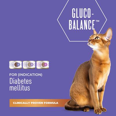 Show full view: Tiki Cat Veterinary Solutions Gluco-Balance Trial Variety Pack Grain-Free Wet Cat Food, 2.8-oz can, case of 3 slide 3 of 12
