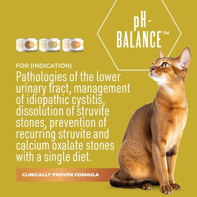 Show full view: Tiki Cat Veterinary Solutions pH-Balance Trial Variety Pack Grain-Free Wet Cat Food, 2.8-oz can, case of 3 slide 3 of 12