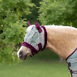 Kensington Protective Products Mini & Pony Fly Mask with Soft Ears & Fleece Trim, Imperial Jade, Pony slide 2 of 6