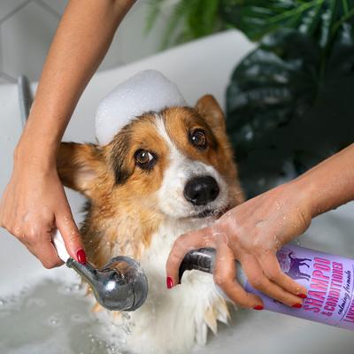 Show full view: PAWS & BONES 2-in-1 Dog & Cat Shampoo & Conditioner, Lavender Scented, 32-fl oz bottle slide 5 of 6