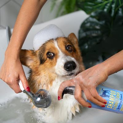 Show full view: PAWS & BONES 2-in-1 Dog & Cat Shampoo & Conditioner, Coconut Scented, 32-fl oz bottle slide 7 of 8