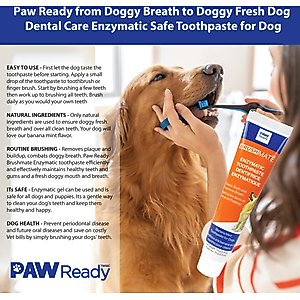 Paw Ready Banana Mint Flavor Enzymatic Dog Toothpaste, 70-g tube