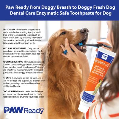 Show full view: Paw Ready Banana Mint Flavor Enzymatic Dog Toothpaste, 70-g tube slide 7 of 10