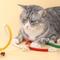 Show in main carousel: Lovely Caves Teething Cat Rope Toy, 3 count slide 5 of 7