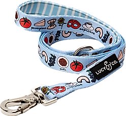 Lucy & Co. Italian Vacay Dog Leash, Large: 5-ft long, 1-in wide