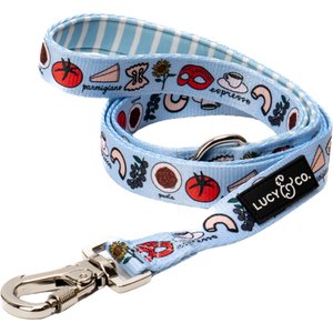 Lucy & Co. Italian Vacay Dog Leash, Large: 5-ft long, 1-in wide