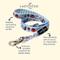 Show in main carousel: Lucy & Co. Italian Vacay Dog Leash, Large: 5-ft long, 1-in wide slide 2 of 4