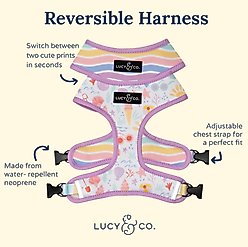 Lucy & Co. Life's a Beach Reversible Dog Harness, Small: 14 to 18-in chest slide 2 of 6