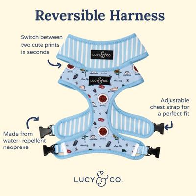 Show full view: Lucy & Co. Italian Vacay Reversible Dog Harness, Large: 20 to 28-in chest slide 2 of 7