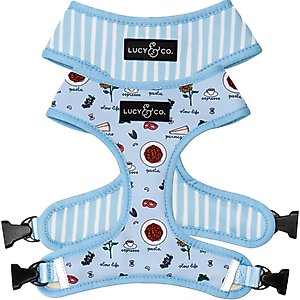 Lucy & Co. Italian Vacay Reversible Dog Harness, Small: 14 to 18-in chest