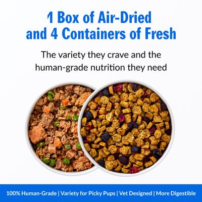 Show full view: PetPlate Human Grade Beef Starter Pack Fresh Wet & Air-Dried Baked Dry Dog Food, 12-oz cup, case of 4 slide 4 of 11