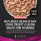 Show in main carousel: Purina Pro Plan Veterinary Diets UR Savory Selects Urinary Ox/St with Salmon in Gravy Wet Dog Food, 13.3-oz can, case of 12 slide 4 of 9