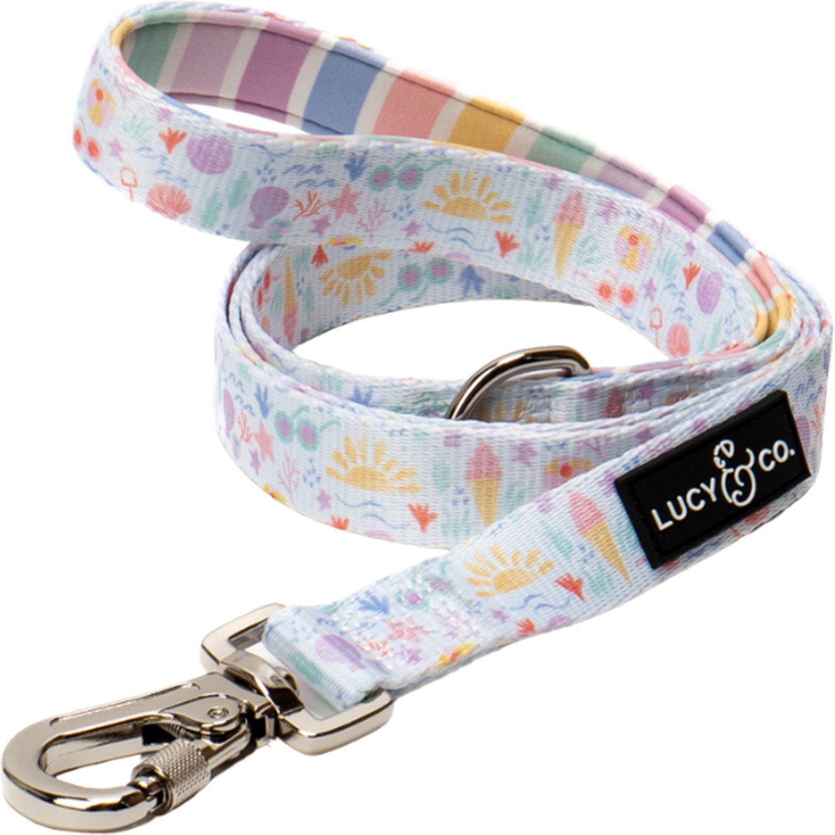 Lucy & Co. Life's a Beach Dog Leash, Large: 5-ft long, 1-in wide