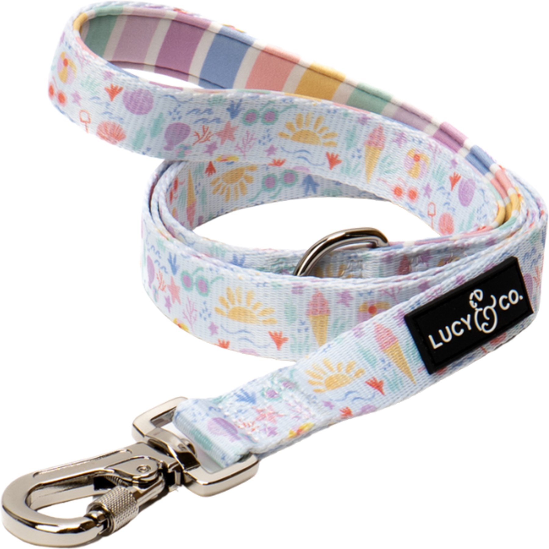 Lucy & Co. Life's a Beach Dog Leash, Large: 5-ft long, 1-in wide