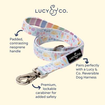 Show full view: Lucy & Co. Life's a Beach Dog Leash, Large: 5-ft long, 1-in wide slide 2 of 3